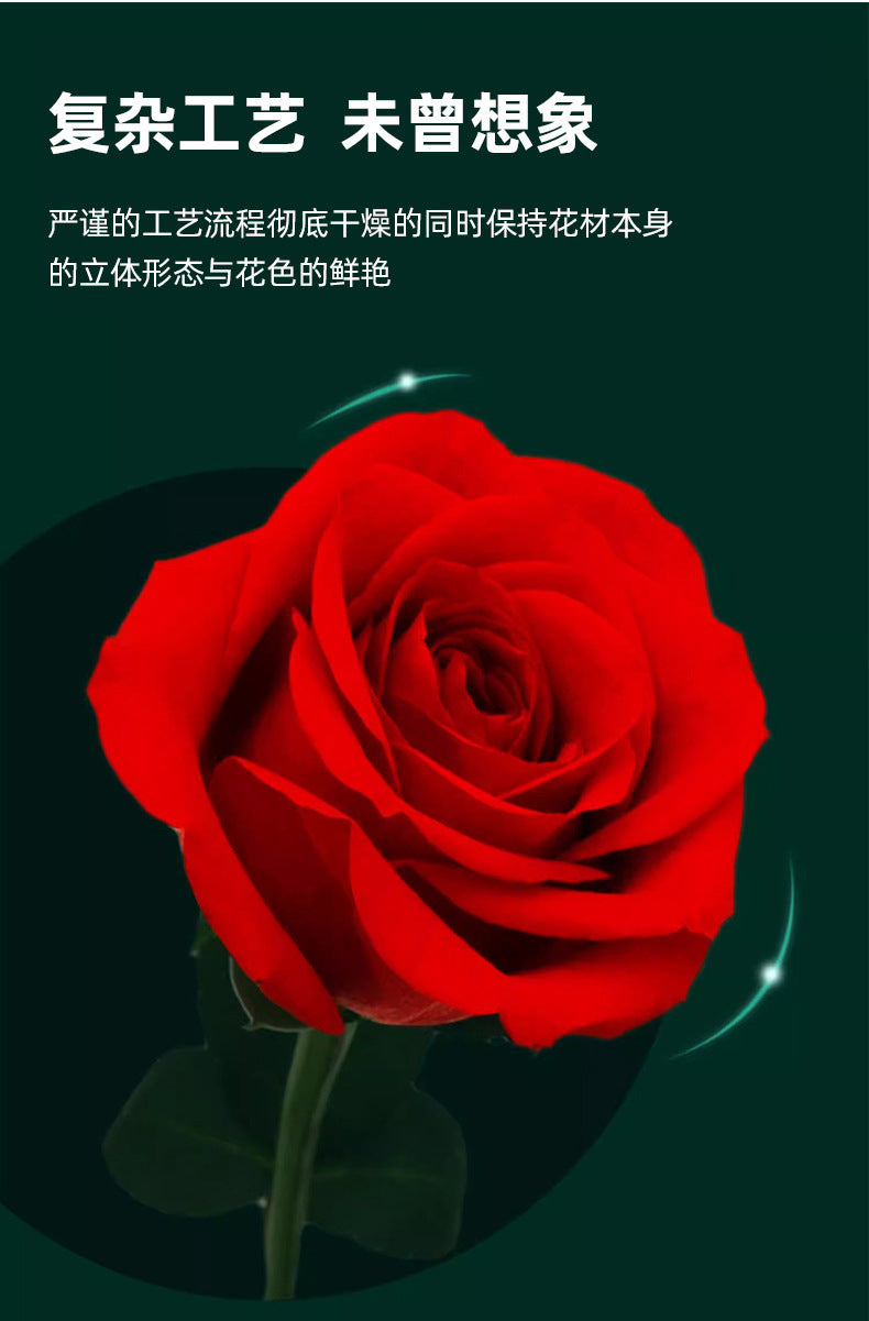 Forever Preserved Real Rose in Glass Dome Women Valentines Day Gifts Eternal Flower for Mother's Day Anniversary Birthday