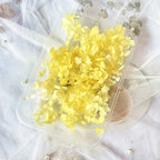 Dried flower eternal petal material cart hanging flower wreath embroidered ball decoration handmade eternal flower bag