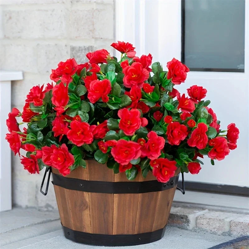 Arbusto de Azalea Resistente al Sol UV — Exterior y Jardín, 7 Colores