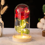 Creative Eternal Rose Glass Cover Ornament  LED Light Simulation  Flower  Mother's Day Valentine's Day Gift Anniversary Blessing