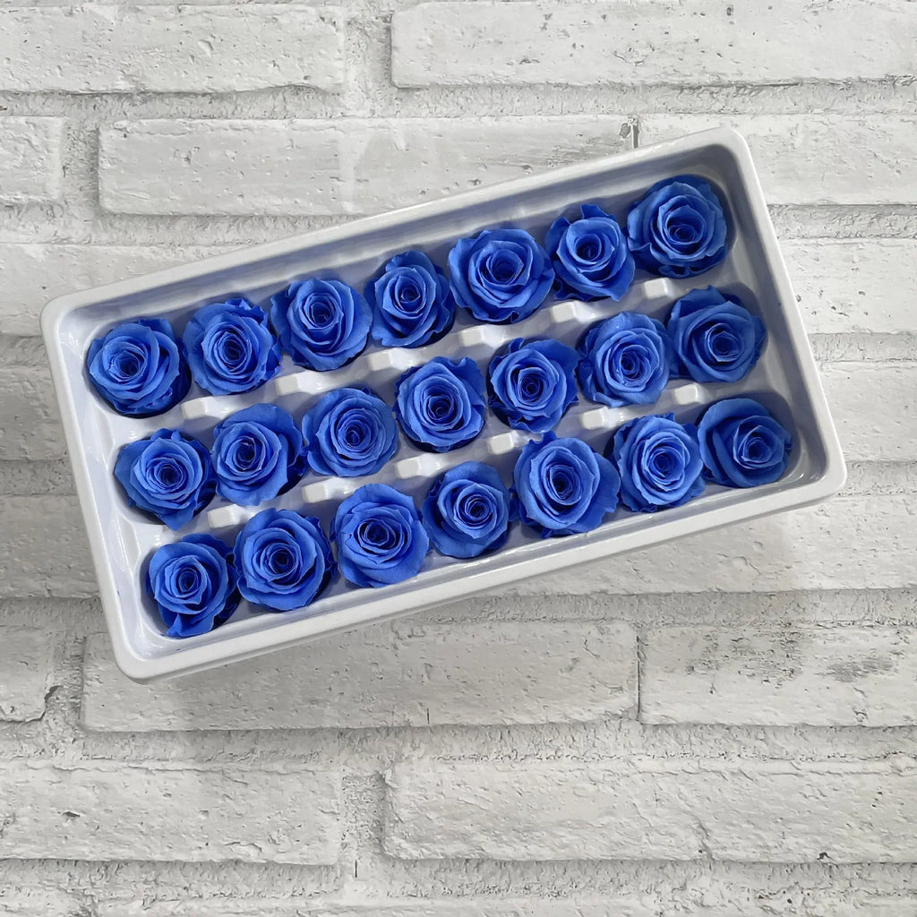 2-3cm/ A-grade Immortal Rose Preserved Flower Rose Head Handmade Flower DIY Material Gift Box Wedding Decoration Rose