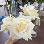 Rosas Real Touch con Humedad — Ramo 10 Tallos Látex, 9 Colores, Novia y Hogar