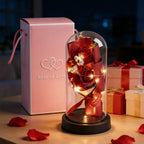 Rose Eternal Life Flower LED Starry Sky Glass Cover Living Room Decor Gift Ornament Perfect Valentine's Day Christmas Gift
