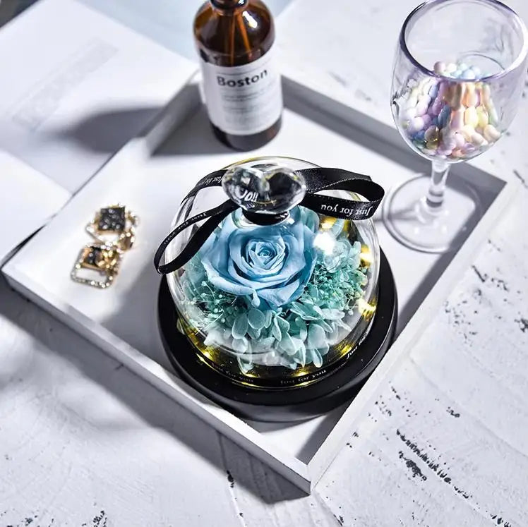 Natural Eternal Rose In Glass With lamp Beauty Preserved Flowers Forever Wedding Valentine Gifts for Girl