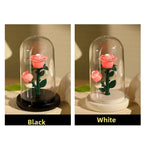 Romantic Eternal Rose Lamp with Lampshade Luminous LED Flower Light Pink Simple Rose Flower Night Light Wedding Decor