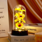 LED Night Light with Eternal Rose, Glass Cover Lamp, Sunflower Shade, Creative Desktop Decor
