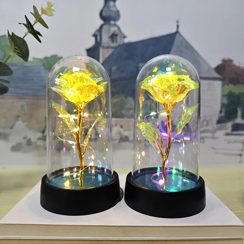 Eternal Rose Flower Valentines Birthday Gifts Light Up Artificial Rose with Transparent Dome Christmas Thanksgiving Women Gifts
