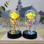 Eternal Rose Flower Valentines Birthday Gifts Light Up Artificial Rose with Transparent Dome Christmas Thanksgiving Women Gifts