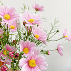 Rosa Cosmos Tallo Individual — Estilo Natural, 4 Colores