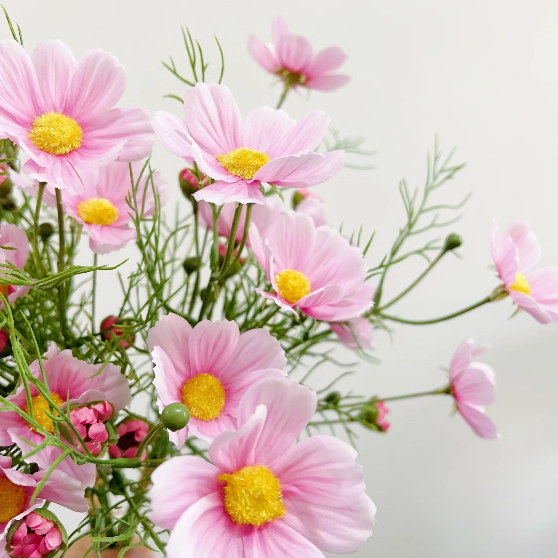 Rosa Cosmos Tallo Individual — Estilo Natural, 4 Colores