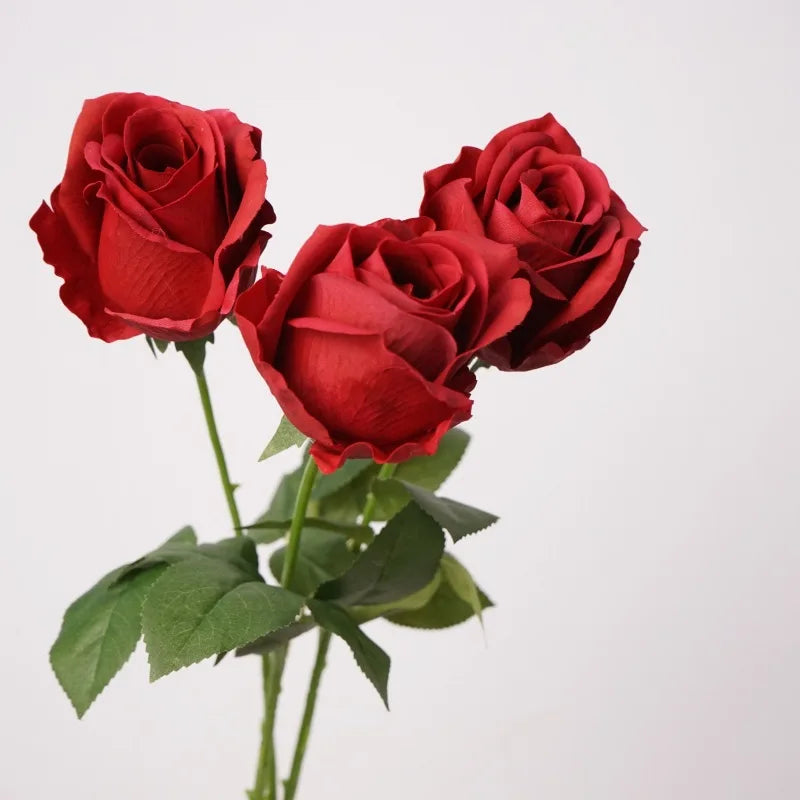 Rosas Real Touch con Humedad — Ramo 10 Tallos Látex, 6 Colores, Novia