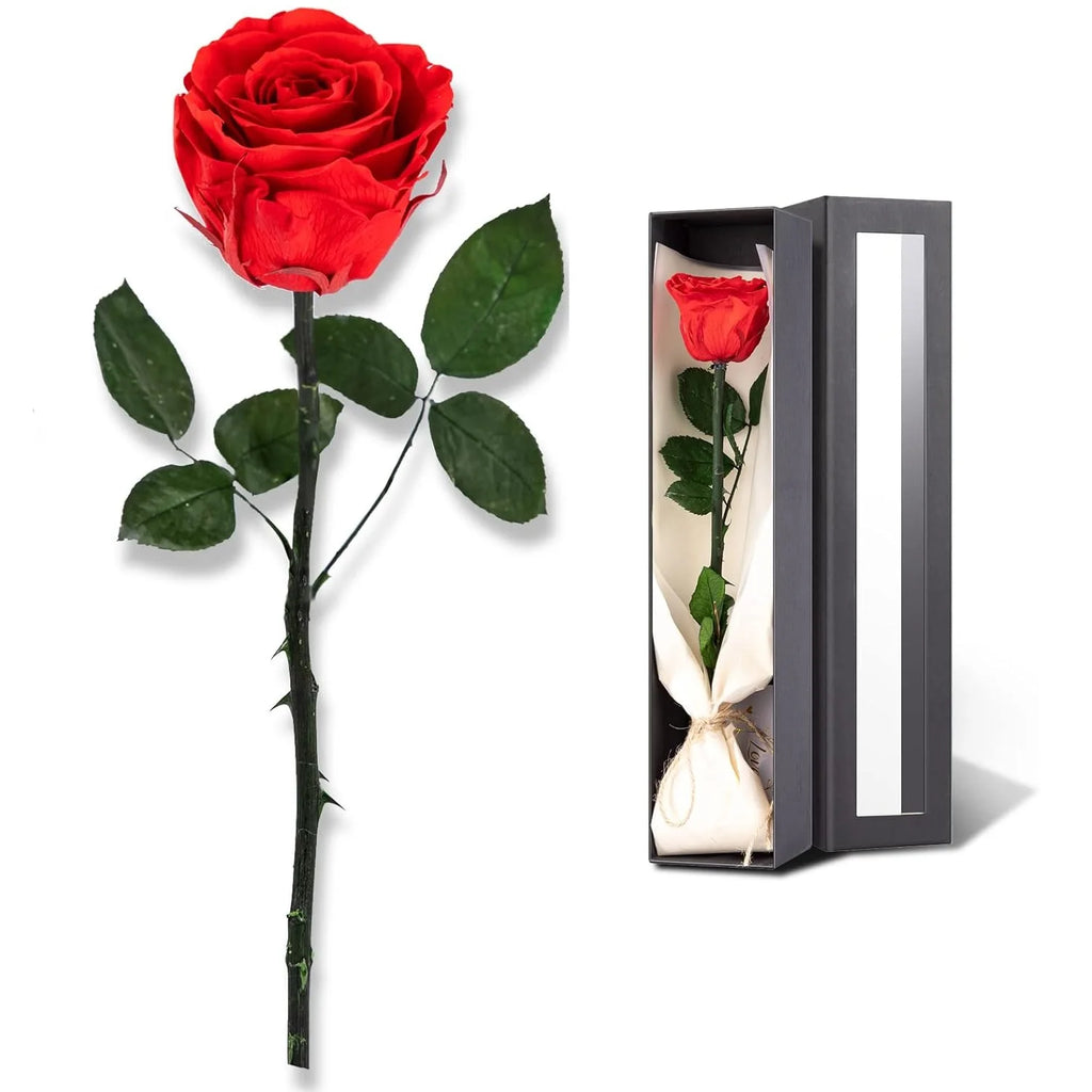 Preserved Rose for Women,Single Stem Eternal Rose Gift for Her,Mom Birthday Gifts From Daughter Valentine's Day Flowers Presents
