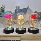 Eternal Rose Flower Valentines Birthday Gifts Light Up Artificial Rose with Transparent Dome Christmas Thanksgiving Women Gifts