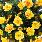 Arbusto de Azalea Resistente al Sol UV — Exterior y Jardín, 7 Colores