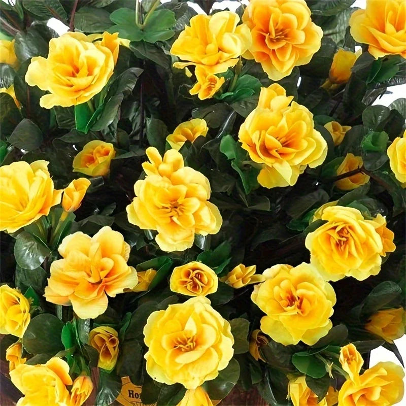 Arbusto de Azalea Resistente al Sol UV — Exterior y Jardín, 7 Colores