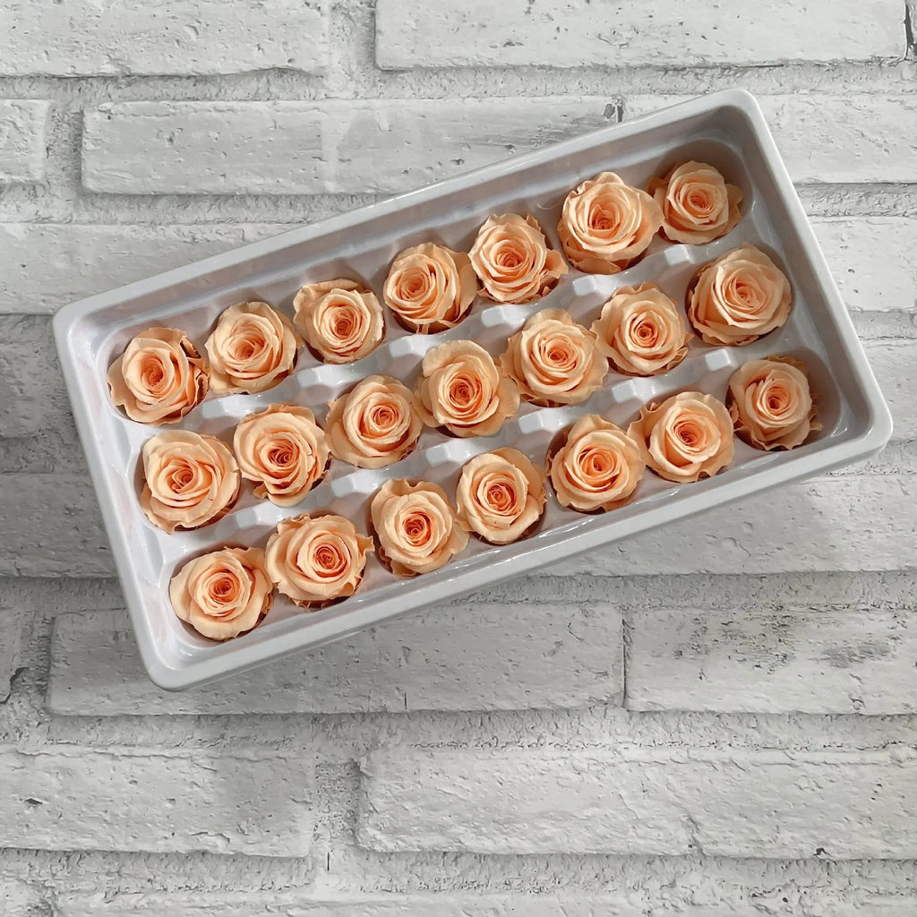 2-3cm/ A-grade Immortal Rose Preserved Flower Rose Head Handmade Flower DIY Material Gift Box Wedding Decoration Rose