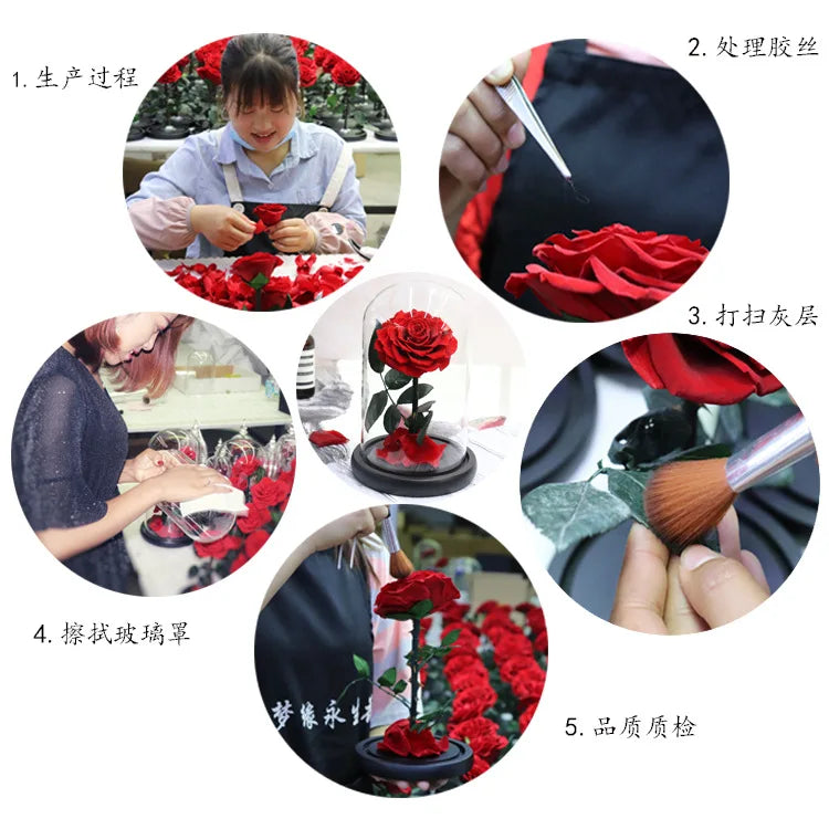 Natural Eternal Rose In Glass With lamp Beauty Preserved Flowers Forever Wedding Valentine Gifts for Girl