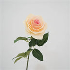 Rosas Látex Real Touch con Humedad — Ramo 5 Tallos, 8 Colores, Novia y San Valentín