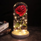 Rosa en Cúpula de Cristal con LED — Estilo La Bella y la Bestia, 16 Estilos, Regalo