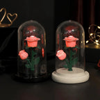 Romantic Eternal Rose Lamp with Lampshade Luminous LED Flower Light Pink Simple Rose Flower Night Light Wedding Decor