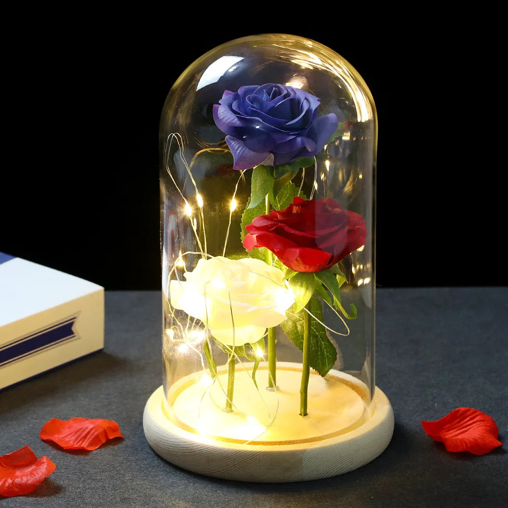 Save Forever Rose Lighted Glass Dome Eternal Beauty Rose Romantic Gifts for Her, Valentine's Day, Birthday, Christmas, Anniversa