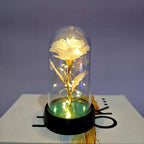 Eternal Rose Flower Valentines Birthday Gifts Light Up Artificial Rose with Transparent Dome Christmas Thanksgiving Women Gifts