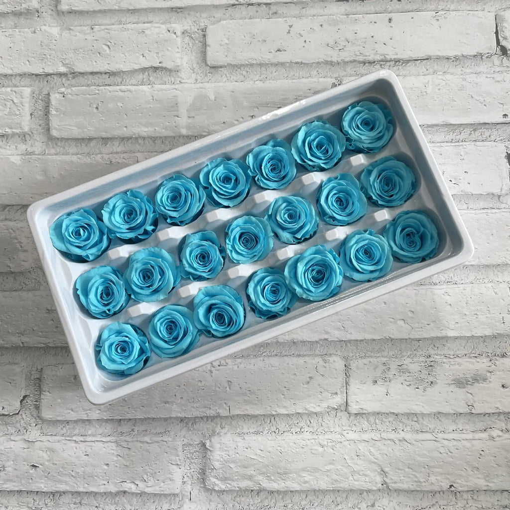 2-3cm/ A-grade Immortal Rose Preserved Flower Rose Head Handmade Flower DIY Material Gift Box Wedding Decoration Rose