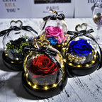 Natural Eternal Rose In Glass With lamp Beauty Preserved Flowers Forever Wedding Valentine Gifts for Girl