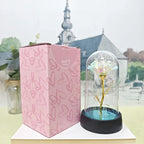 Eternal Rose Flower Valentines Birthday Gifts Light Up Artificial Rose with Transparent Dome Christmas Thanksgiving Women Gifts