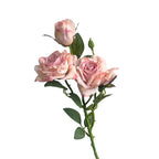 Rosa de Seda Borde Quemado Estilo Francés — Tallo 3 Cabezas, 8 Colores, Boda y Eventos