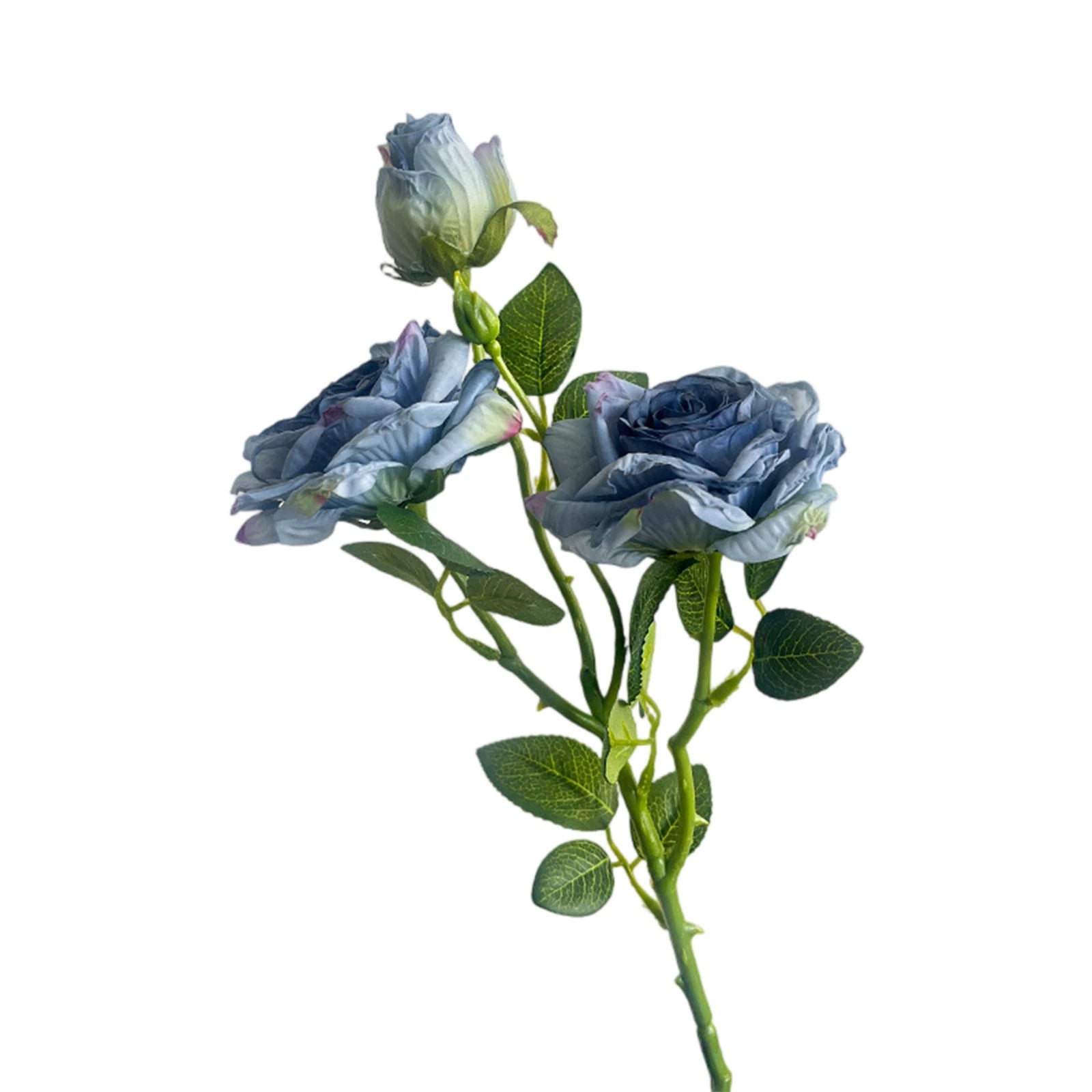 Rosa de Seda Borde Quemado Estilo Francés — Tallo 3 Cabezas, 8 Colores, Boda y Eventos
