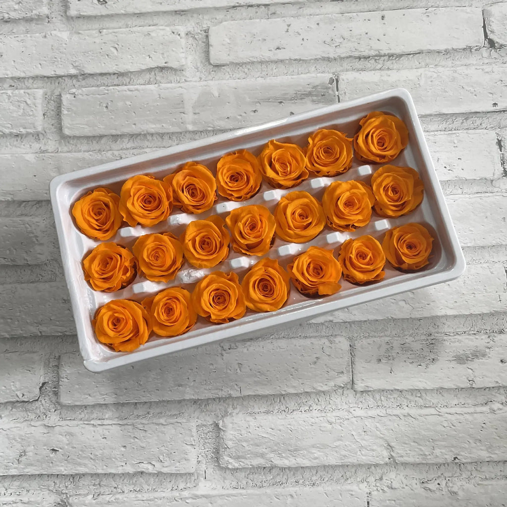 2-3cm/ A-grade Immortal Rose Preserved Flower Rose Head Handmade Flower DIY Material Gift Box Wedding Decoration Rose