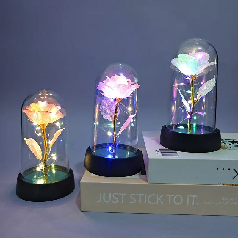 Eternal Rose Flower Valentines Birthday Gifts Light Up Artificial Rose with Transparent Dome Christmas Thanksgiving Women Gifts