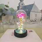 Eternal Rose Flower Valentines Birthday Gifts Light Up Artificial Rose with Transparent Dome Christmas Thanksgiving Women Gifts