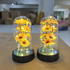 LED Night Light with Eternal Rose, Glass Cover Lamp, Sunflower Shade, Creative Desktop Decor
