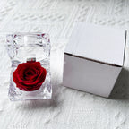 Eternal Preserved Rose Real Flower Valentine'S Birthday Anniversary Mother'S Day Acrylic Gift Box New Artificial Decorations