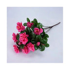 Arbusto de Azalea Resistente al Sol UV — Exterior y Jardín, 7 Colores
