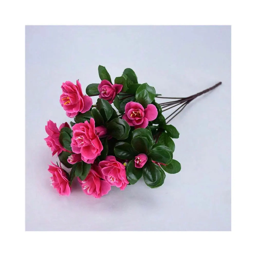 Arbusto de Azalea Resistente al Sol UV — Exterior y Jardín, 7 Colores