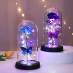 New Home Decor Glass Cover Rose Eternal Flower with Lamp Creative Decoration Ornament Bedroom Decoration