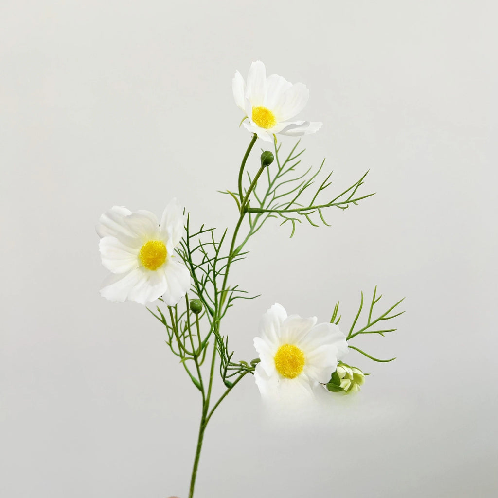 Rosa Cosmos Tallo Individual — Estilo Natural, 4 Colores