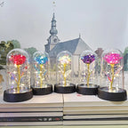 Eternal Rose Flower Valentines Birthday Gifts Light Up Artificial Rose with Transparent Dome Christmas Thanksgiving Women Gifts