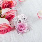 Eternal Preserved Rose Real Flower Valentine'S Birthday Anniversary Mother'S Day Acrylic Gift Box New Artificial Decorations
