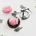 Exclusive Eternal Rose in Glass Dome Artificial Soap Rose Valentine's Day Birthday Christmas Gifts for Women Girlfriends