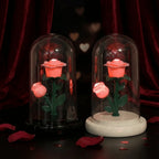 Romantic Eternal Rose Lamp with Lampshade Luminous LED Flower Light Pink Simple Rose Flower Night Light Wedding Decor