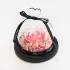 Exclusive Eternal Rose in Glass Dome Artificial Soap Rose Valentine's Day Birthday Christmas Gifts for Women Girlfriends