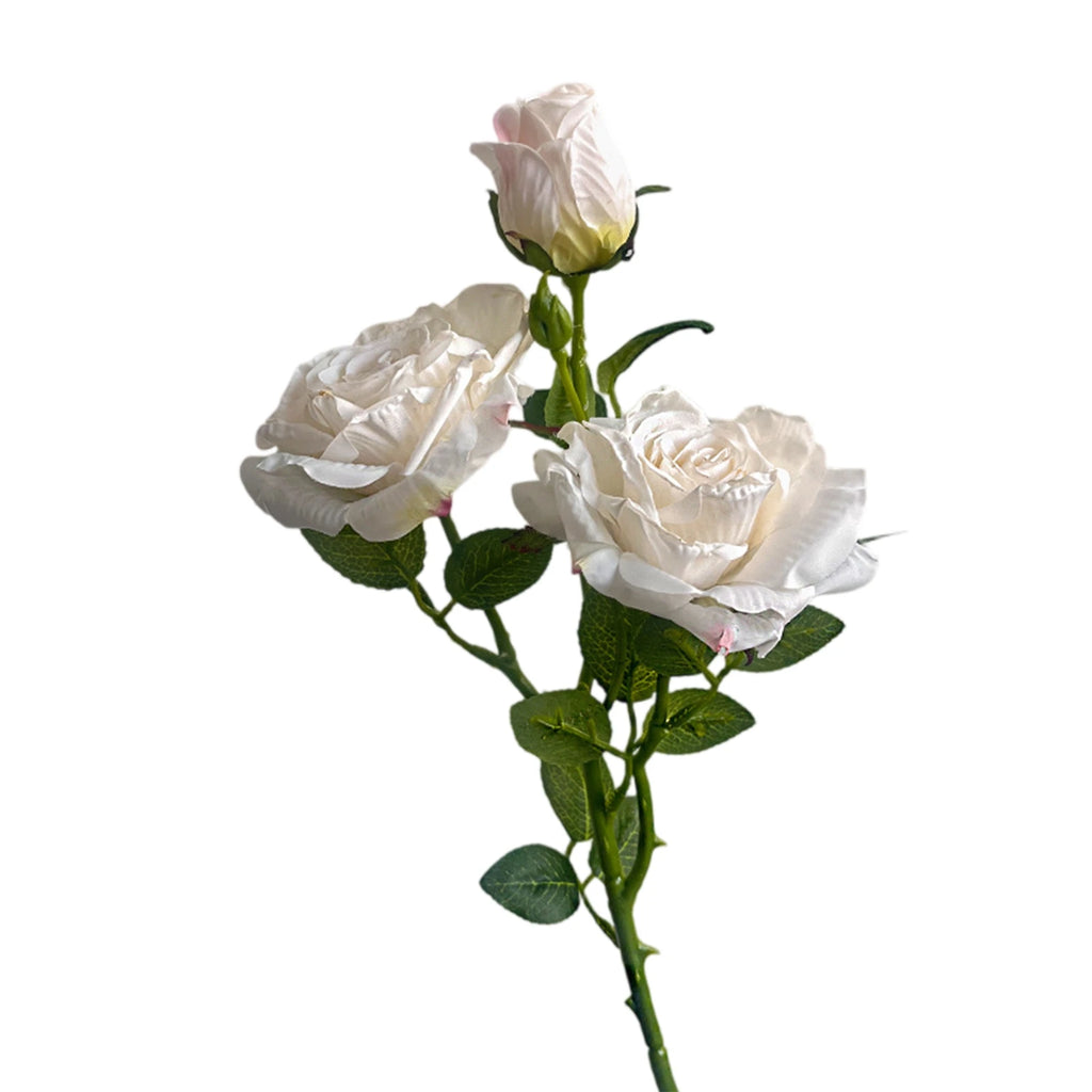 Rosa de Seda Borde Quemado Estilo Francés — Tallo 3 Cabezas, 8 Colores, Boda y Eventos