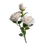 Rosa de Seda Borde Quemado Estilo Francés — Tallo 3 Cabezas, 8 Colores, Boda y Eventos