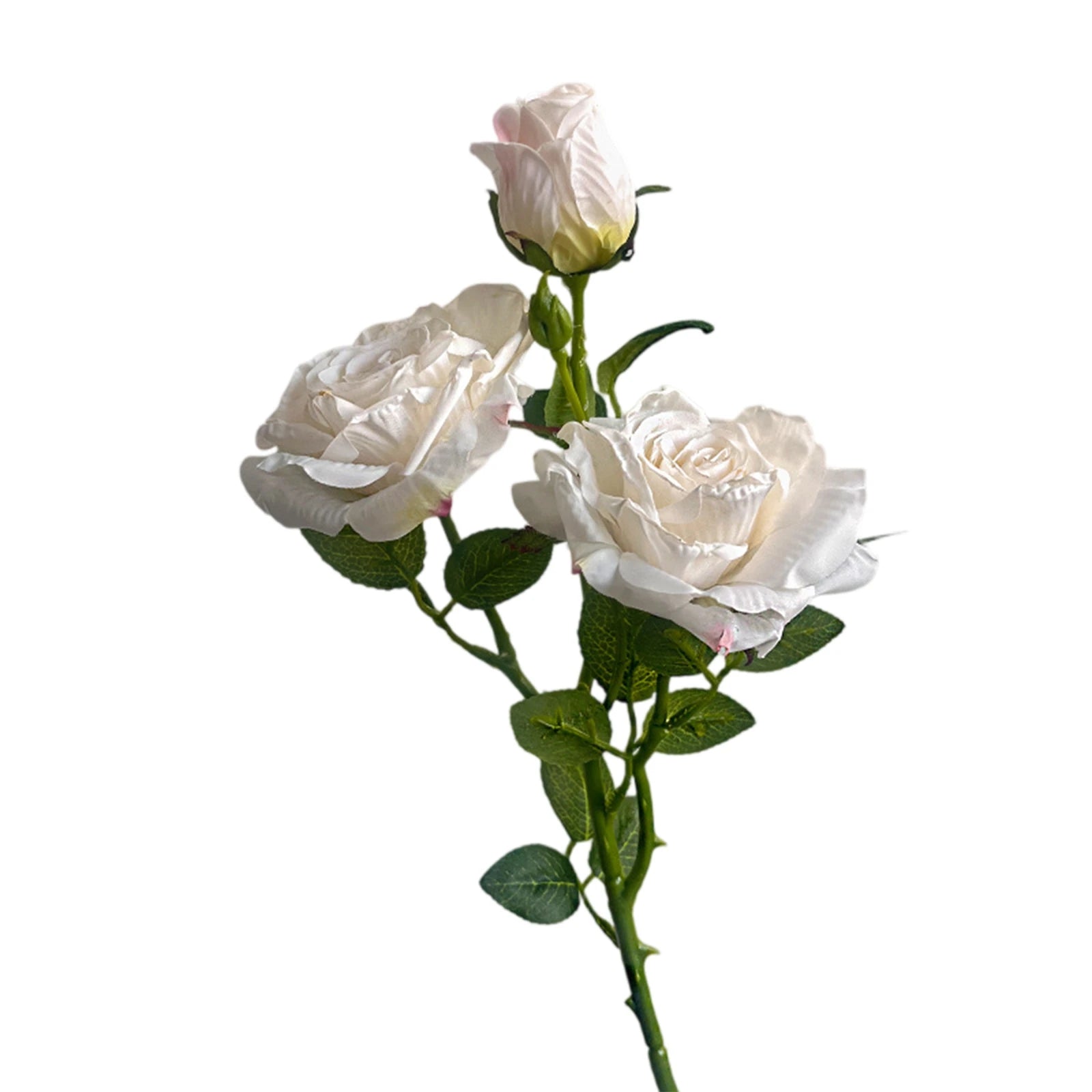 Rosa de Seda Borde Quemado Estilo Francés — Tallo 3 Cabezas, 8 Colores, Boda y Eventos