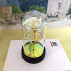 Eternal Rose Flower Valentines Birthday Gifts Light Up Artificial Rose with Transparent Dome Christmas Thanksgiving Women Gifts