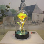Eternal Rose Flower Valentines Birthday Gifts Light Up Artificial Rose with Transparent Dome Christmas Thanksgiving Women Gifts